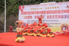 我校舞蹈隊(duì)受邀參加梧州市萬(wàn)秀區(qū)錢鑒社區(qū)舉辦的“文化惠民 幸福錢鑒”元旦