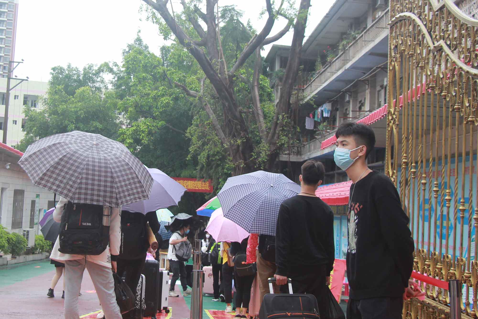 第一批學生返校記——春風十里，不如校園有你！